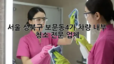 서울 성북구 보문동4가 차량 내부 청소 전문 업체