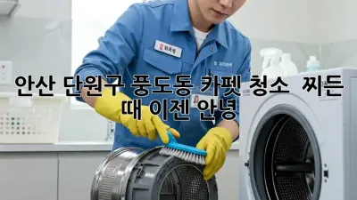 안산 단원구 풍도동 카펫 청소 ✨ 찌든 때, 이젠 안녕! 👋